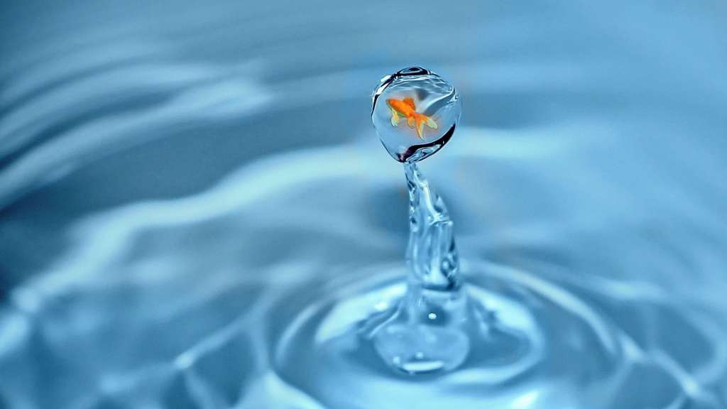 Curiosidades sobre el agua