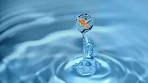 Curiosidades sobre el agua